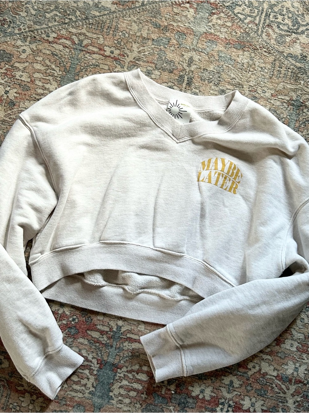Aerie Offline Maybe Later Vneck Cropped Sweater